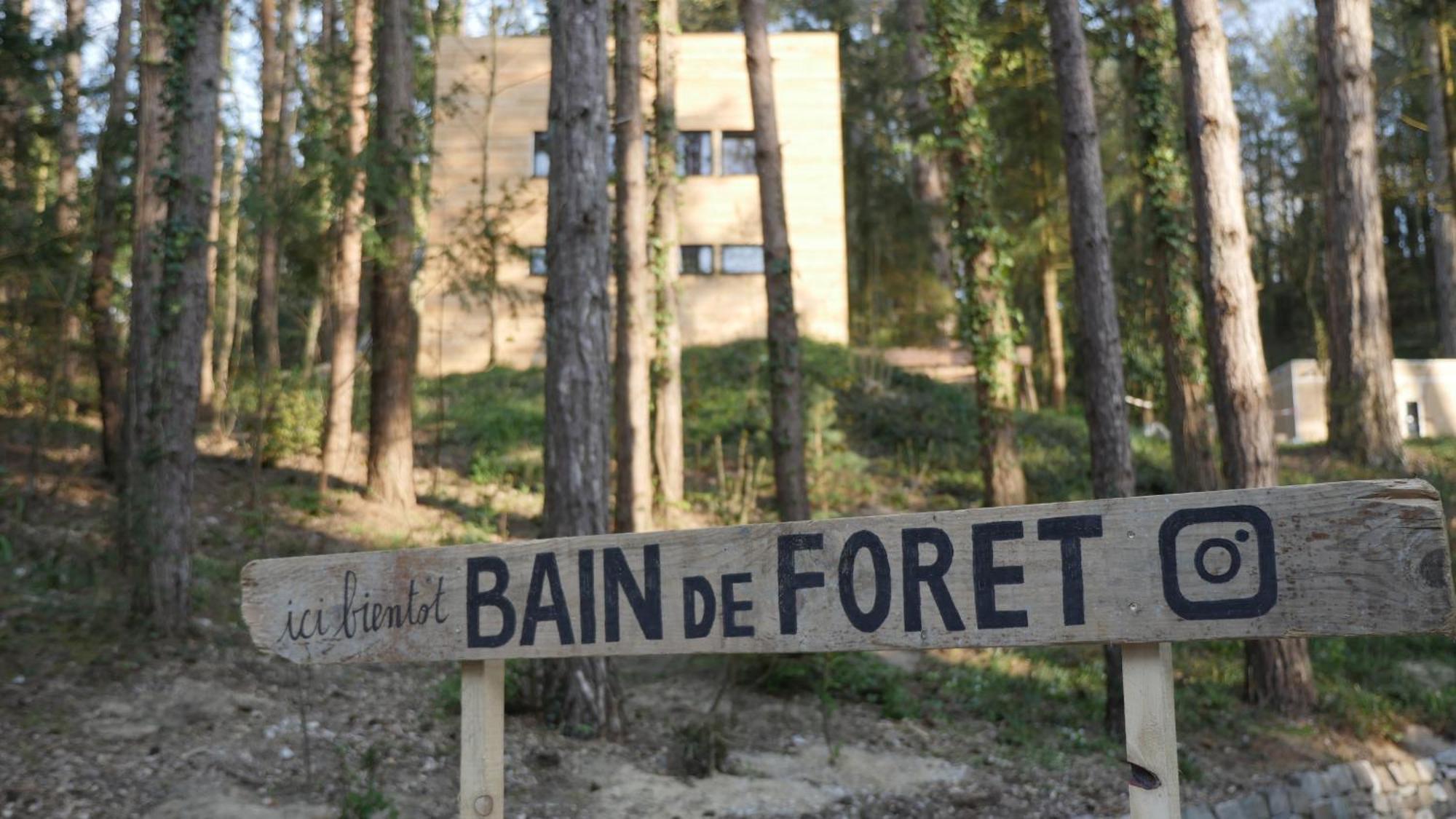 Bain De Foret - Lodges Cosy & Spa Neufchâtel-Hardelot 部屋 写真